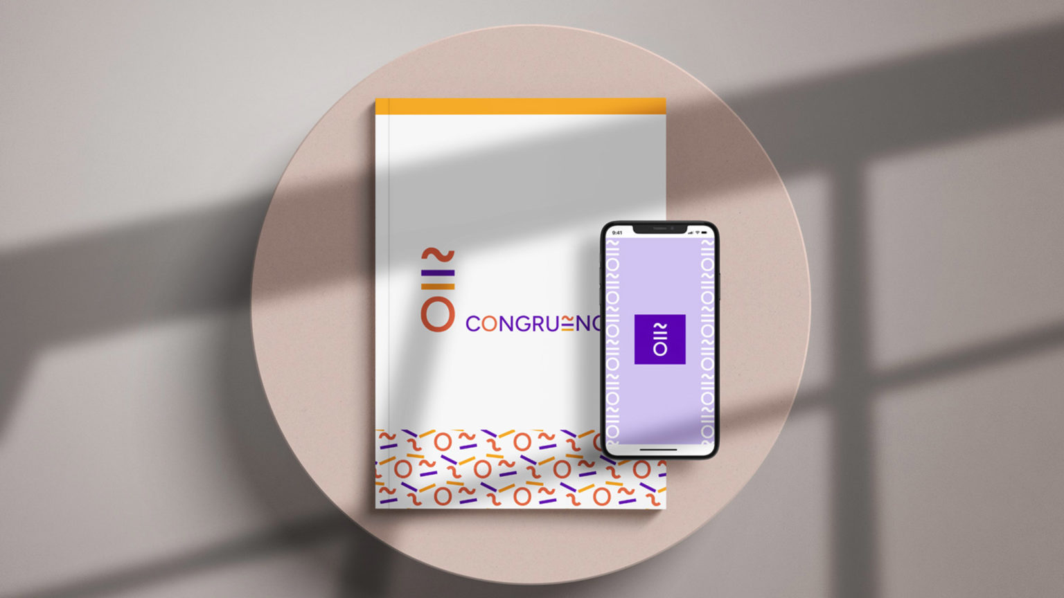 congruence portfolio creation identite visuelle pro (9)